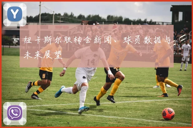 纽卡斯尔联转会新闻、球员数据与未来展望